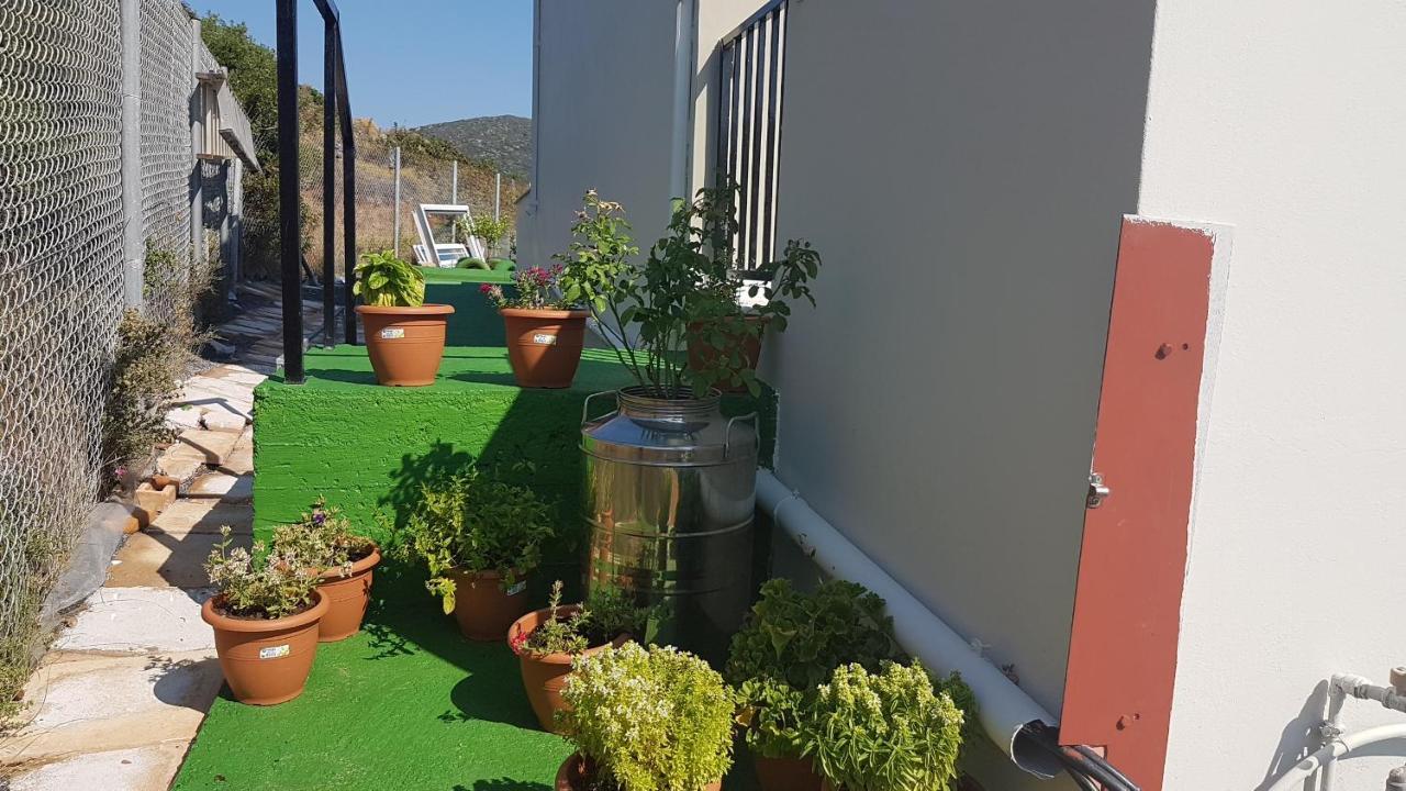 Anatoli Studios Agios Fokas  Buitenkant foto